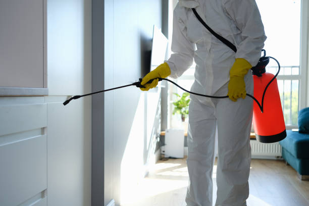 Best Residential Mold Remediation in Hermiston, OR